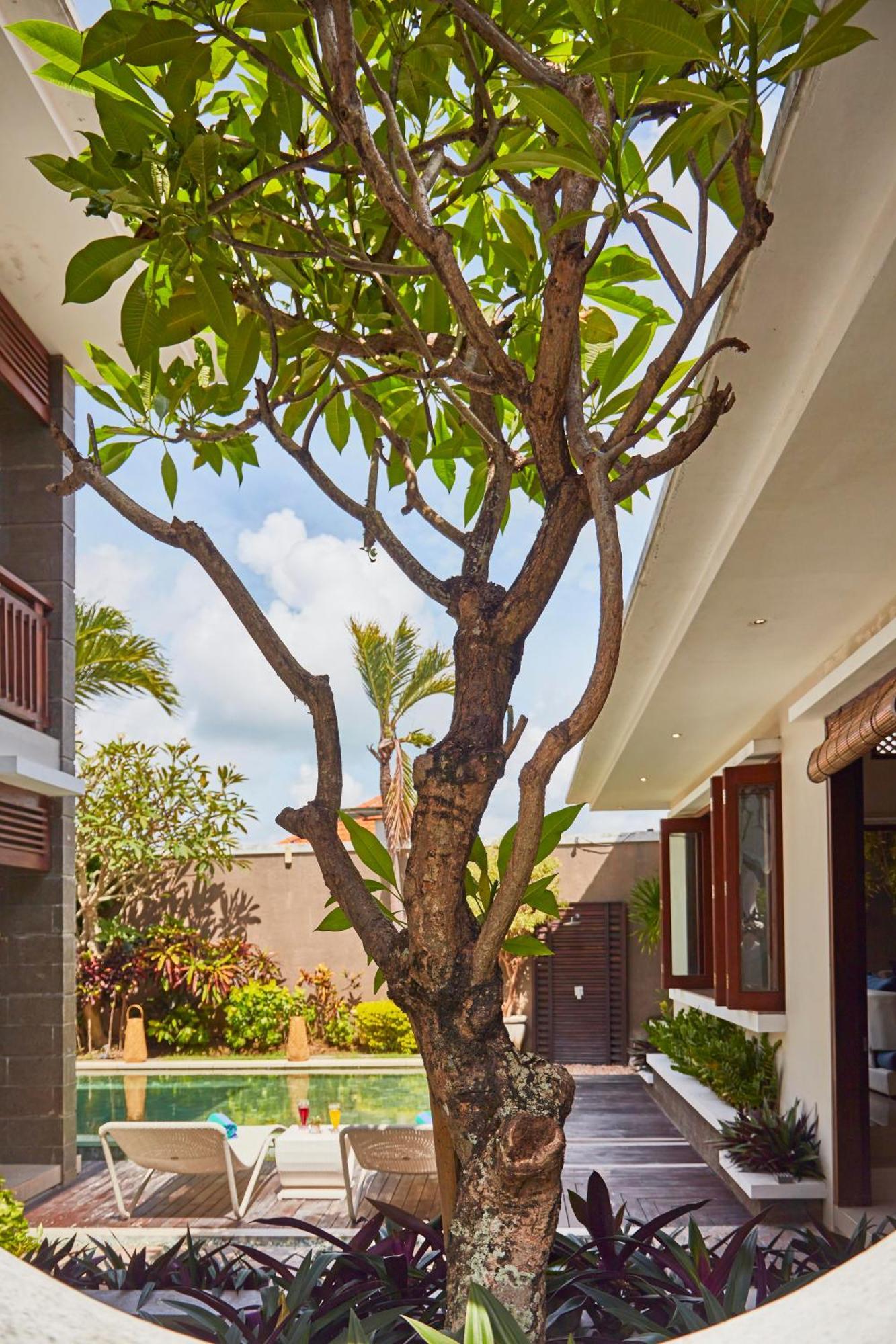 Dreamscape Bali Villas Canggu Ngoại thất bức ảnh